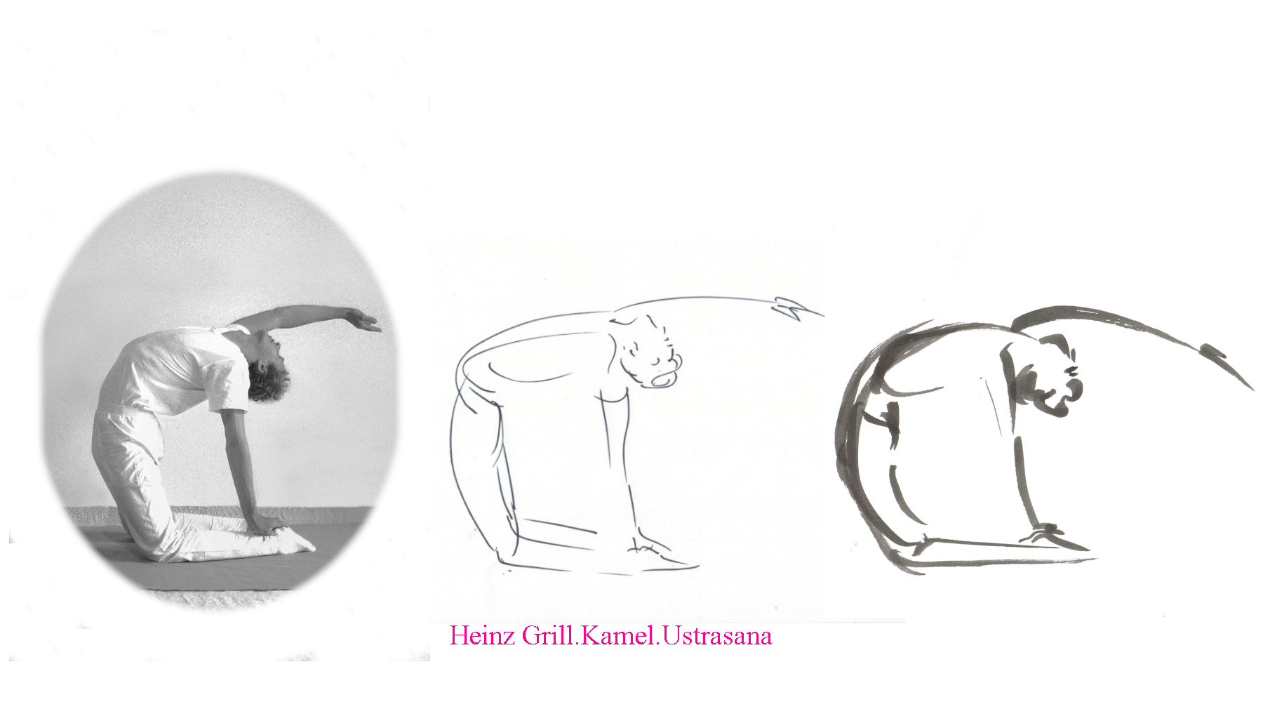 Investigating a yoga pose – Camel Pose of Heinz Grill