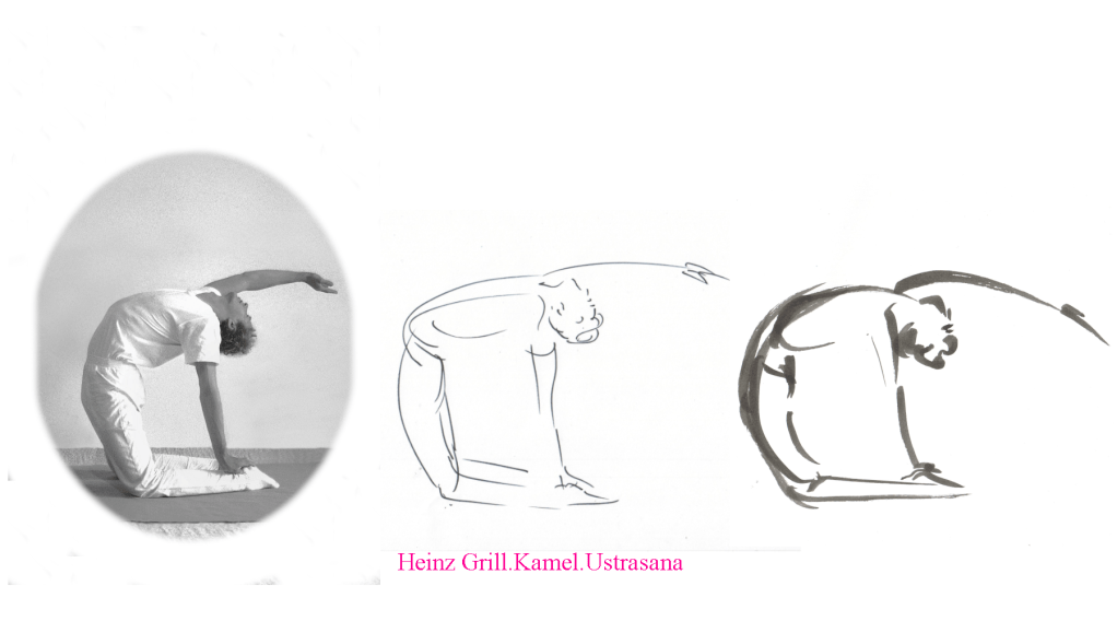 Investigating a yoga pose – Camel Pose of Heinz&nbsp;Grill