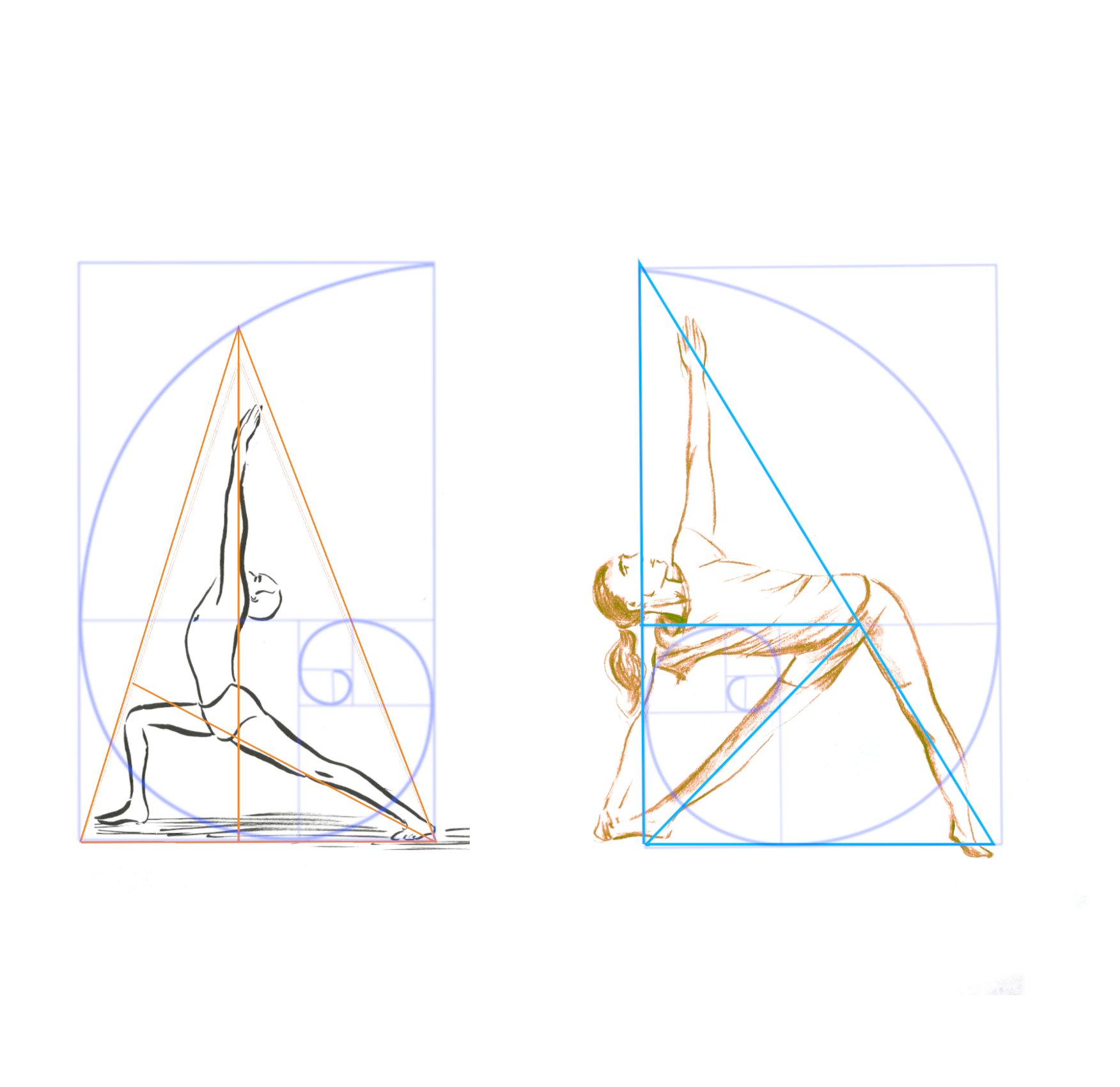 Yoga geometry – The Golden Ratio in Yoga Postures
