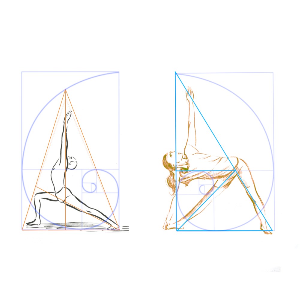 Yoga geometry – The Golden Ratio in Yoga&nbsp;Postures